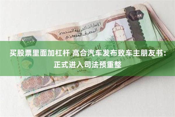 买股票里面加杠杆 高合汽车发布致车主朋友书：正式进入司法预重整