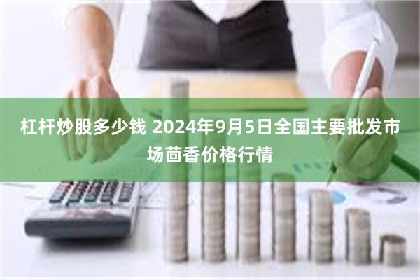 杠杆炒股多少钱 2024年9月5日全国主要批发市场茴香价格行情